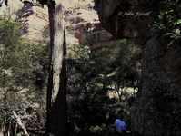 Small gully escarpment GoS SCA off Bicentennial Trail