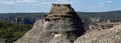 Temples of Doom GoS SCA Newnes Plateau