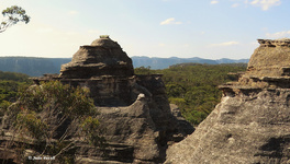 Temples of Doom GoS SCA Newnes Plateau