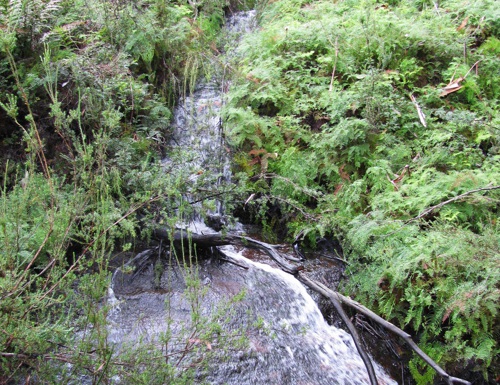 Carne Creek (in 2009)