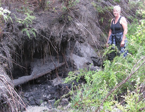 Farmers Creek Swamp